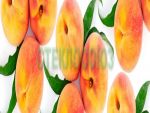 Фартуки