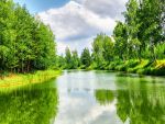 Фартуки