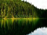 Фартуки