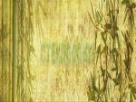 Фартуки