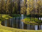 Фартуки
