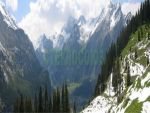 Фартуки