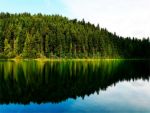 Фартуки