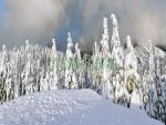Фартуки