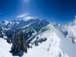 Фартуки