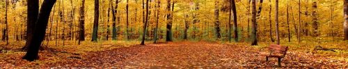 Фартуки