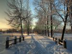 Пейзажи