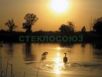 Пейзажи